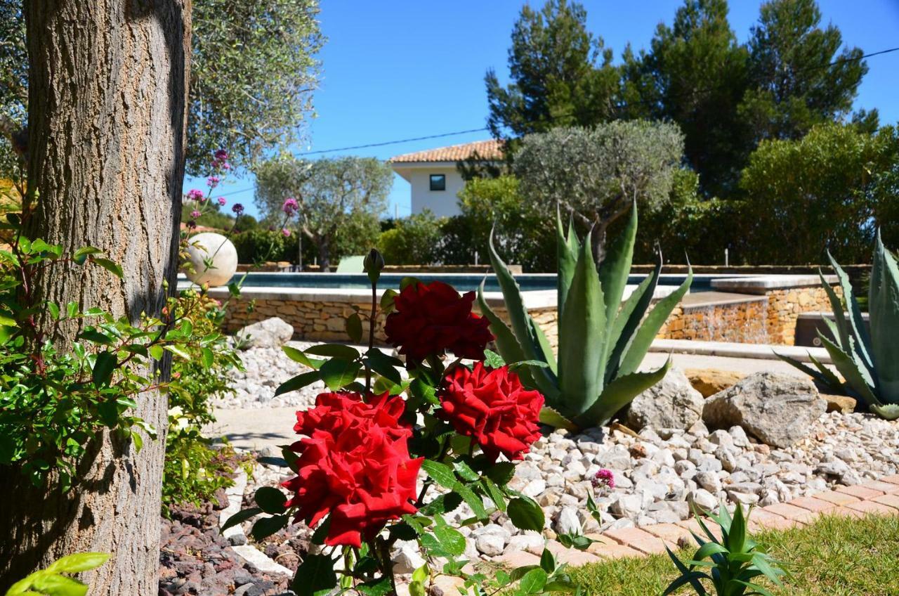 Appartements Du Jas De Clare La Cadiere-d'Azur Eksteriør billede